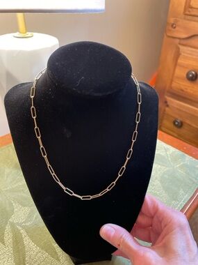 NWOT Paperclip Necklace.
